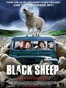  ӢӰ Black Sheep Movie Review