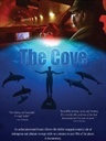  ӢӰ The Cove